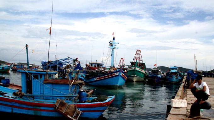 Đánh bắt cá Cơm Phú Quốc