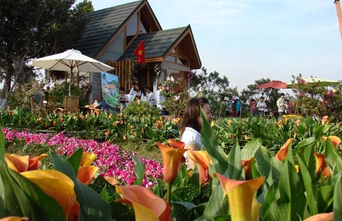 Năm 2013 là lễ hội hoa lần thứ 5 được tổ chức tại Đà Lạt